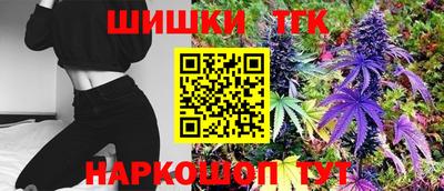МДПВ Дубна