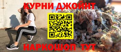 МДПВ Дубна