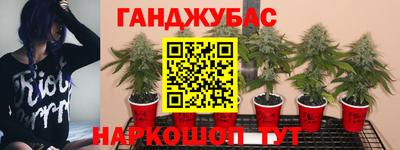 МДПВ Дубна
