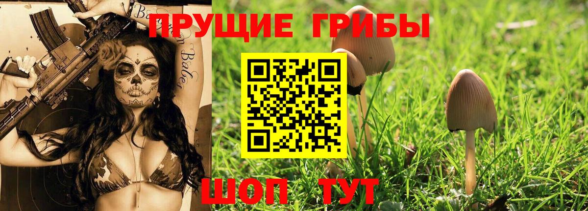 Псилоцибиновые грибы мухоморы Мыски