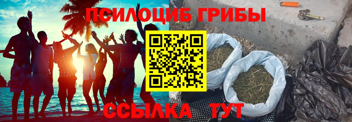 Галлюциногенные грибы ЛСД  купить наркотики сайты  Вход с VPN  Мыски  Псилоцибиновые грибы GOLDEN TEACHER 